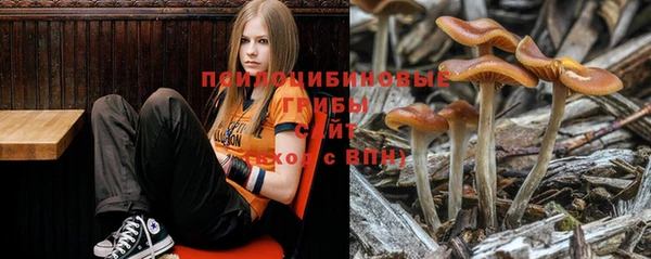 дживик Нефтегорск