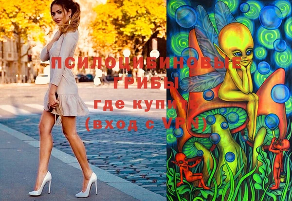 стафф Нефтекумск