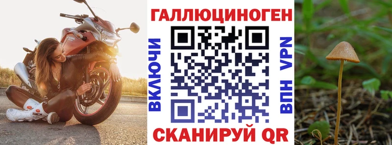 Галлюциногенные грибы GOLDEN TEACHER  Апшеронск 