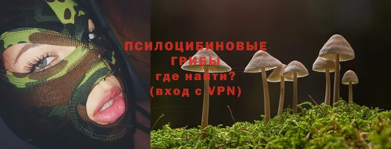 Псилоцибиновые грибы Magic Shrooms  где найти   Апшеронск 