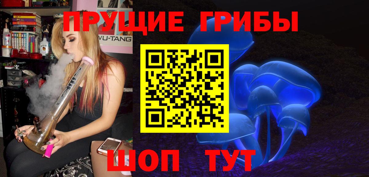 Псилоцибиновые грибы Psilocybe  Галлюциногенные грибы Cubensis  Апшеронск 