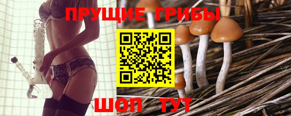 Галлюциногенные грибы мицелий Апшеронск