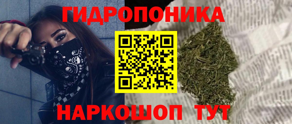 Марихуана сатива Апшеронск